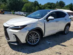 JTJHKCEZXR2025668 2024 LEXUS NX