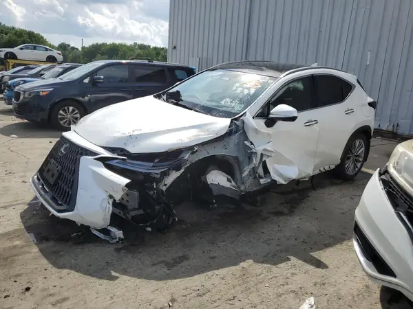 JTJHKCEZXR2031759 2024 LEXUS NX - Image 1