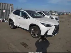 JTJHKCEZXR2033365 2024 LEXUS NX