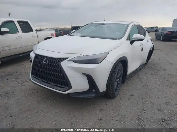 JTJHKCFZ0R2041036 2024 LEXUS NX - Image 2