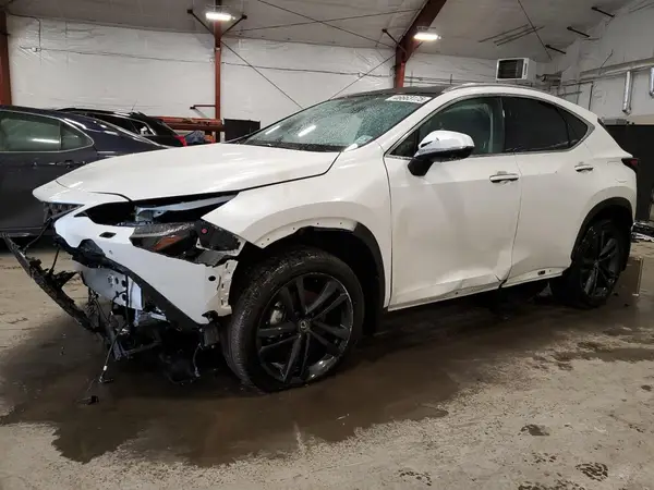 JTJHKCFZ1S2047062 2025 LEXUS NX - Image 1