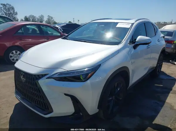 JTJHKCFZ6R2033684 2024 LEXUS NX - Image 2
