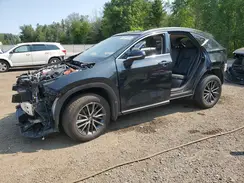 JTJHKCFZ7R2021575 2024 LEXUS NX