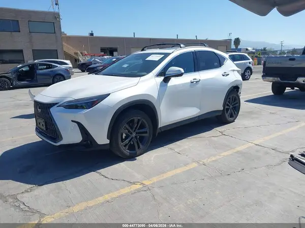 JTJHKCFZ7R2025657 2024 LEXUS NX - Image 2