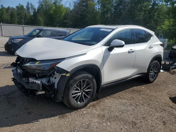 JTJHKCFZ8R2038451 2024 LEXUS NX - Image 1