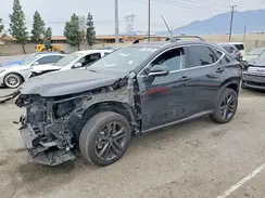 JTJHKCFZXS2056231 2025 LEXUS NX