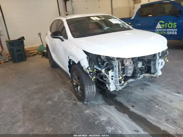 JTJJARBZXL5020472 2020 LEXUS NX - Image 1