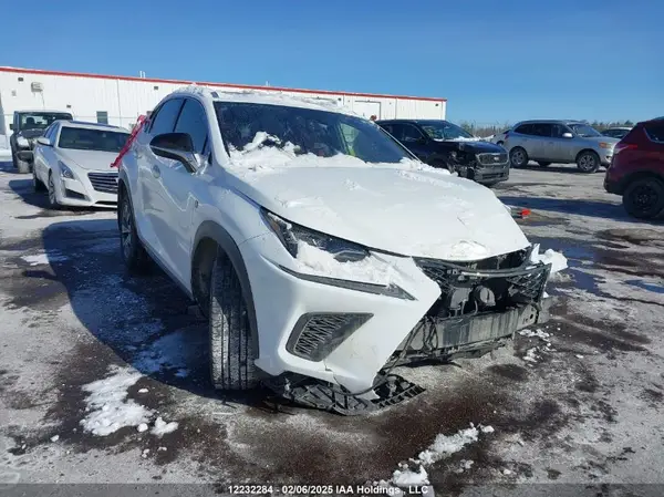 JTJJARDZ0L5005041 2020 LEXUS NX - Image 1