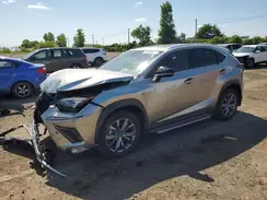 JTJJARDZ8M2247529 2021 LEXUS NX