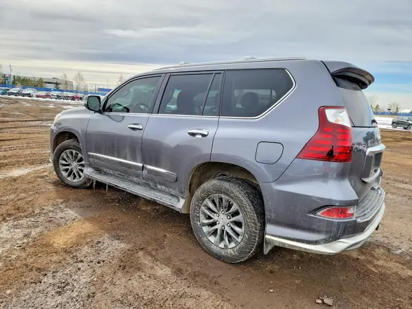 JTJJM7FX8H5175744 2017 LEXUS GX - Image 2