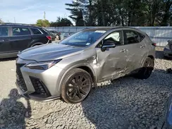 JTJKGCEZ1R2011150 2024 LEXUS NX