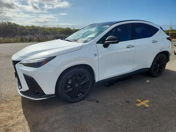 JTJKGCEZ2N2002709 2022 LEXUS NX - Image 1