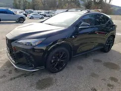 JTJKGCEZ2P5005076 2023 LEXUS NX