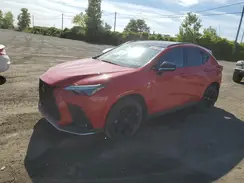 JTJKGCEZ7N2004035 2022 LEXUS NX