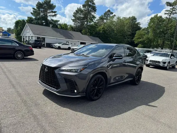 JTJKGCEZ7N5001604 2022 LEXUS NX - Image 1