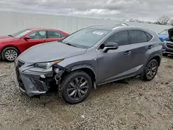 JTJSARBZ1M2183776 2021 LEXUS NX