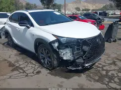 JTJSARBZ2L2177001 2020 LEXUS NX