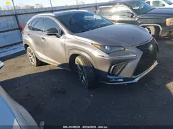 JTJSARBZ2L5004593 2020 LEXUS NX