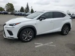 JTJSARBZ2L5011446 2020 LEXUS NX