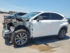 JTJSARBZ2M2193183 2021 LEXUS NX