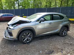 JTJSARBZ3M2187618 2021 LEXUS NX