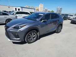 JTJSARBZ3M2198389 2021 LEXUS NX