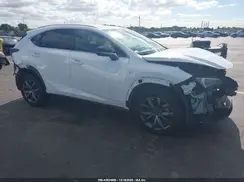 JTJSARBZ3M5024613 2021 LEXUS NX