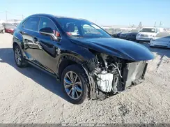 JTJSARBZ4M2179737 2021 LEXUS NX