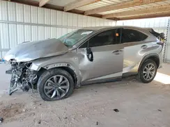 JTJSARBZ6M2181313 2021 LEXUS NX