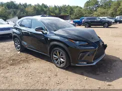 JTJSARBZ7L2162249 2020 LEXUS NX
