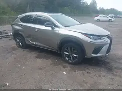 JTJSARBZ7M2203562 2021 LEXUS NX