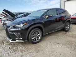 JTJSARBZ9M2186540 2021 LEXUS NX