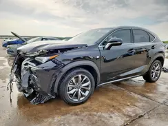 JTJSARBZ9M2195318 2021 LEXUS NX