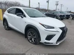 JTJSARDZ0L5000135 2020 LEXUS NX