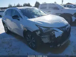 JTJSARDZ1L5015064 2020 LEXUS NX