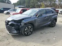 JTJSARDZ1M2243181 2021 LEXUS NX