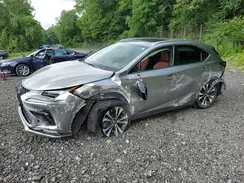 JTJSARDZ1M2246159 2021 LEXUS NX