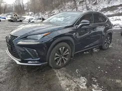 JTJSARDZ3L2231760 2020 LEXUS NX