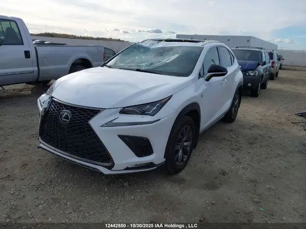 JTJSARDZ3M2255316 2021 LEXUS NX - Image 2