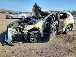 JTJSARDZ4M2255227 2021 LEXUS NX