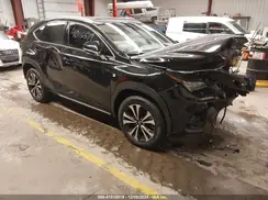 JTJSARDZ5L2235082 2020 LEXUS NX