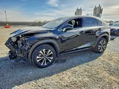 JTJSARDZ7L5007986 2020 LEXUS NX