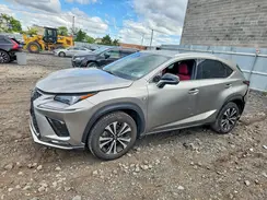 JTJSARDZ8M2262455 2021 LEXUS NX