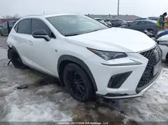 JTJSARDZ8M5020344 2021 LEXUS NX