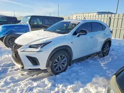 JTJSARDZ9M2251660 2021 LEXUS NX