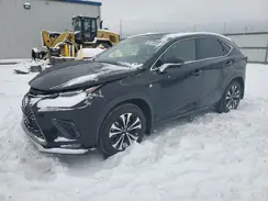 JTJSARDZXL2229536 2020 LEXUS NX