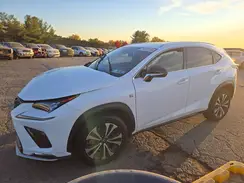 JTJSARDZXL5001955 2020 LEXUS NX