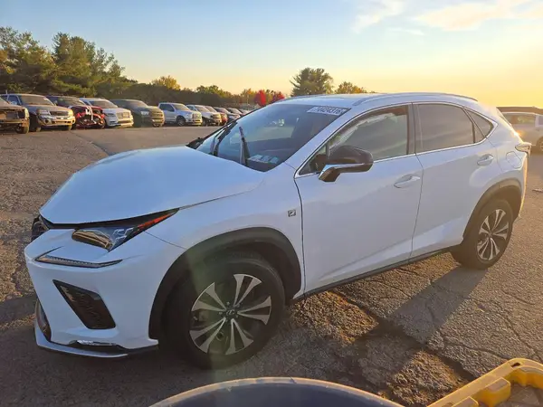 JTJSARDZXL5001955 2020 LEXUS NX - Image 1