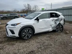 JTJSARDZXL5007111 2020 LEXUS NX