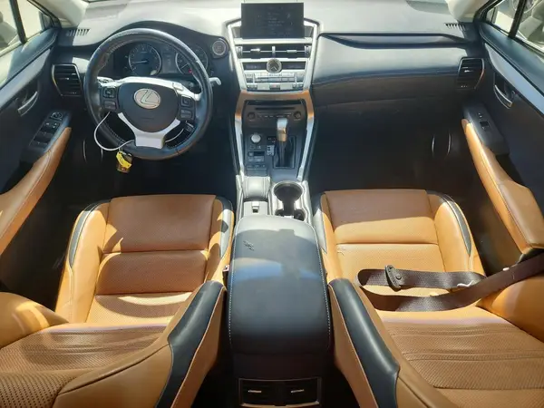 JTJYARBZ0H2064116 2017 LEXUS NX - Image 8
